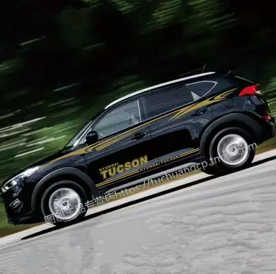 Hyundai new TUCSON car stickers flower body waist line stickers new TUCSON Modification special creative decoration color strip stickers