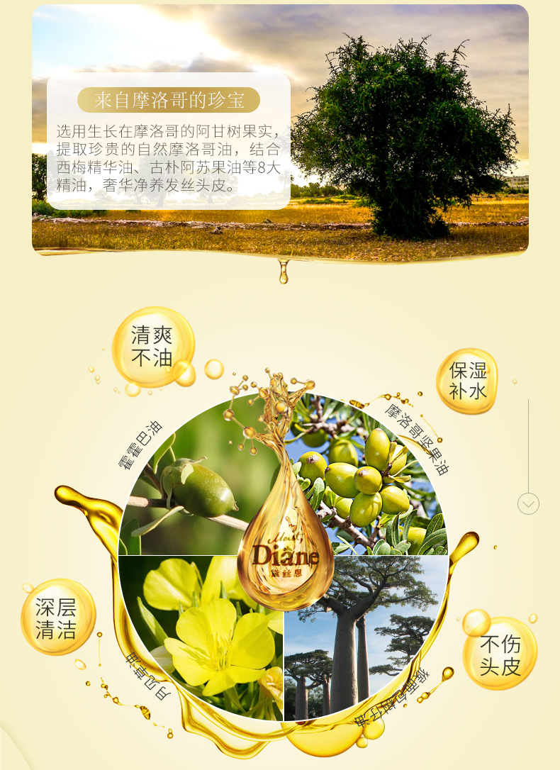日本各种大赏No.1 黛丝恩 Moist Diane 摩洛哥精油 无硅油洗发护发水 500ml 图6