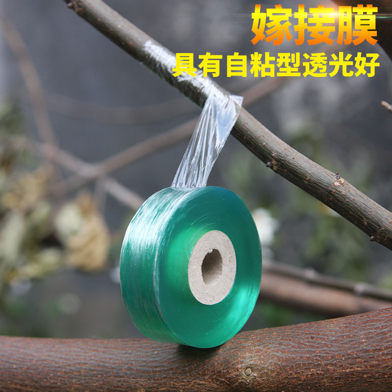 Elite Sharp Frontal Graft Film Graft Strap Fruit Tree Sapling Bandaged With No Need Knotted Self-Adhesive Wrapping Film
