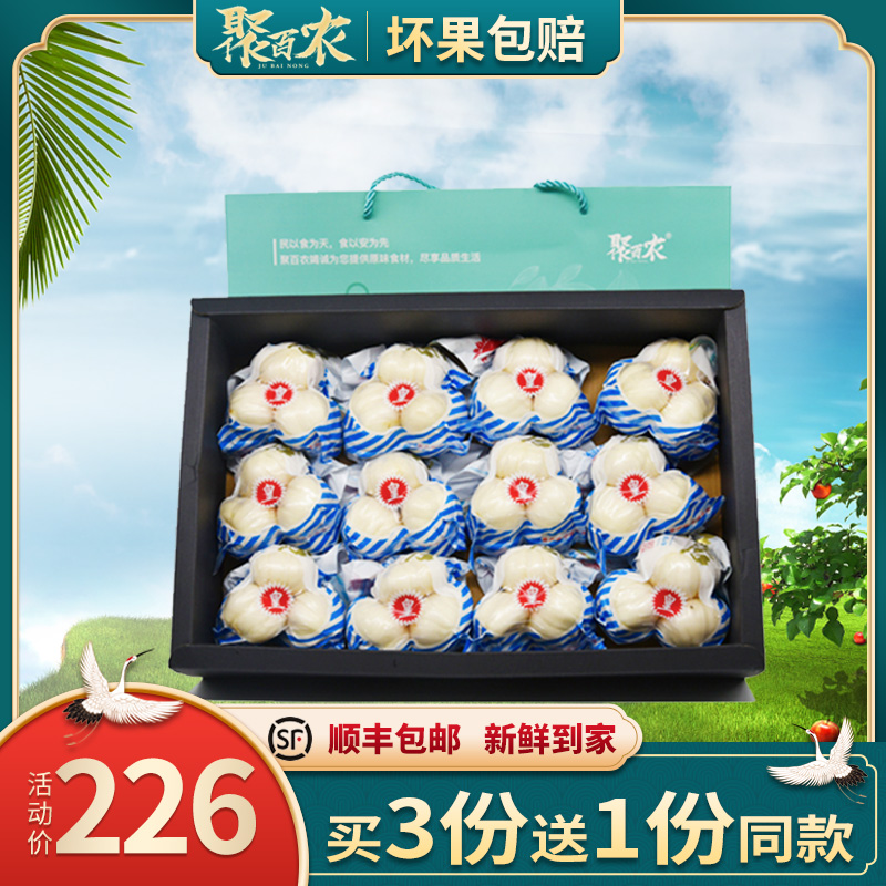 Gansu specialty Lanzhou fresh lily dried sulfur-free vacuum packaging edible three 2500g exquisite gift box