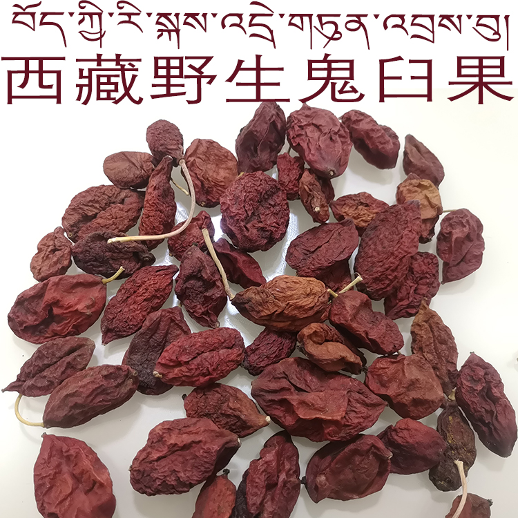 50 gr Tibetan Lingzhi wild ghost mortar selection of more than 250 gr of Shunfeng