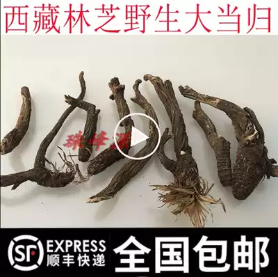 250g Tibet Nyingchi wild angelica Tibetan Angelica Angelica Linzhi special 50-300 grams of medicine is very fragrant