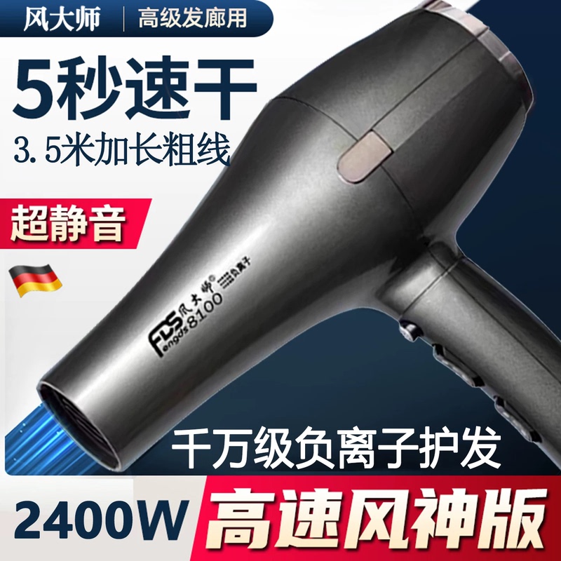Wind Master 8100 Hair Dryer High-Power 2400 Watt Negative Ion Hair Care Hair Salon Special High-Speed Drying Electric Hair Dryer