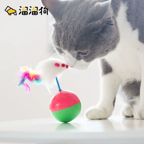 Игрушка, модная неваляшка, кот, домашний питомец