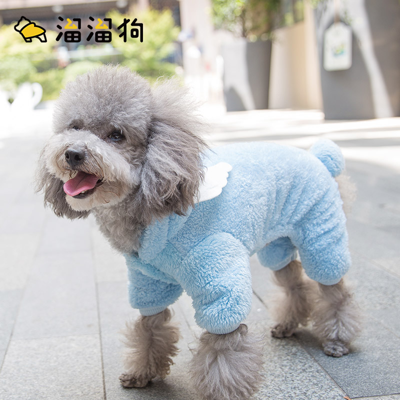 Cute angel transformed into a puppy dog ​​spring and autumn clothes teddy bear pet cat cat clothes small dog funny funny