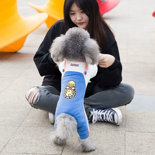 Tide Brand Puppy Dog Одежда, с четырьмя выпущенными осенью и зимой, Тедди Тедди Бим Бумея маленькие домашние животные в зимней толстой хлопковой куртке