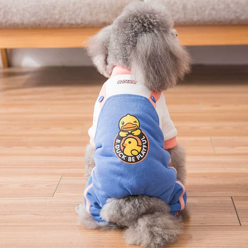 Tide Brand Puppy Dog Одежда, с четырьмя выпущенными осенью и зимой, Тедди Тедди Бим Бумея маленькие домашние животные в зимней толстой хлопковой куртке