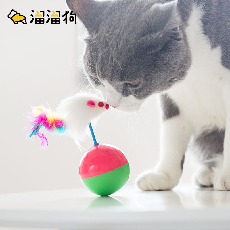 Cat toys gold fun teddy bear small dog pet toys pet supplies after toy tumbler fashion