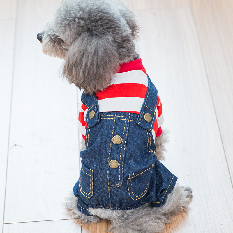 Dogs clothes kitty teddy bibs Bear Beauties Kirky Back With Pants Young Dog Four Leggings Pets Spring And Autumn Slim-Taobao