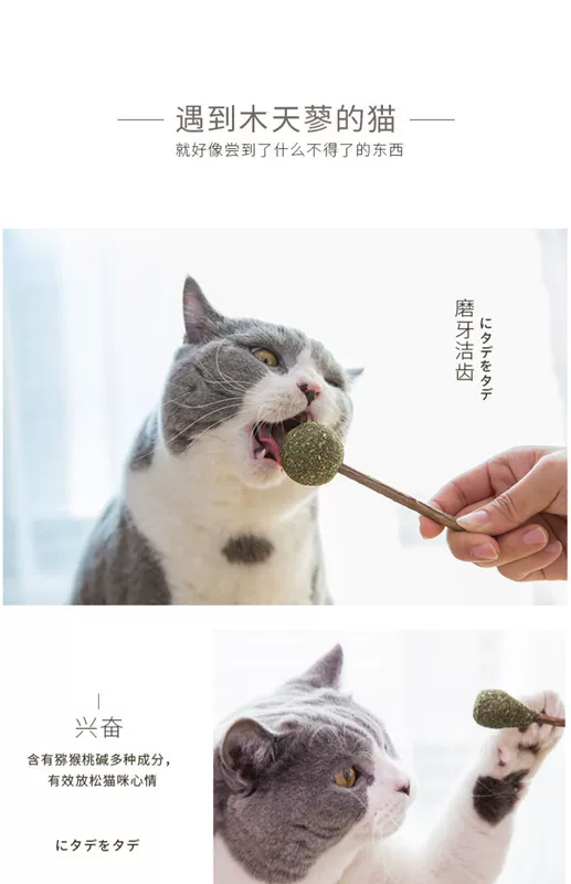 Mèo Lollipop Đồ chơi Mint Ball Gỗ Tian Li Mèo Cỏ Mèo Snacks Funny Cat Stick Molar Stick Mèo con Mèo con Kitty - Mèo / Chó Đồ chơi