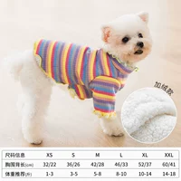 Радуга роза