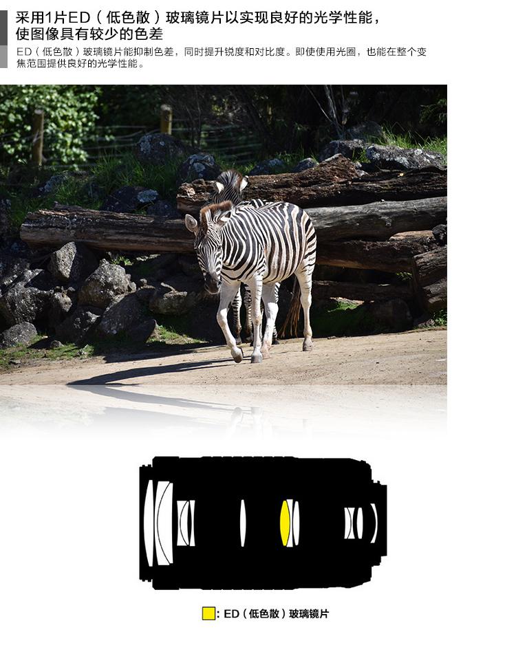 Ống kính máy ảnh DSLR AF-P DX Nikkor 70-300mm f / 4.5-6.3G ống kính tele