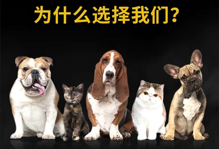 Thức ăn cho mèo Nafu cá biển cá hồi biển sâu vào mèo con mèo con mèo già mèo Anh màu xanh ngắn thức ăn 5 kg đóng hộp 2,5kg - Cat Staples Hạt Whiskas cho mèo con