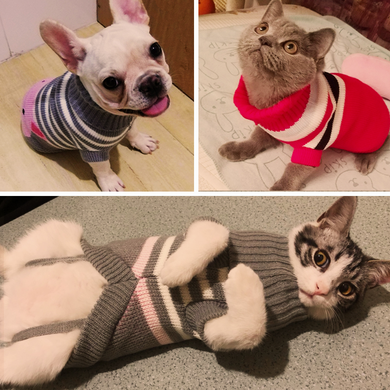 QC dog clothes autumn clothes Teddy Ke Fund pet small medium and large dogs autumn and winter cute warm cat clothes plus