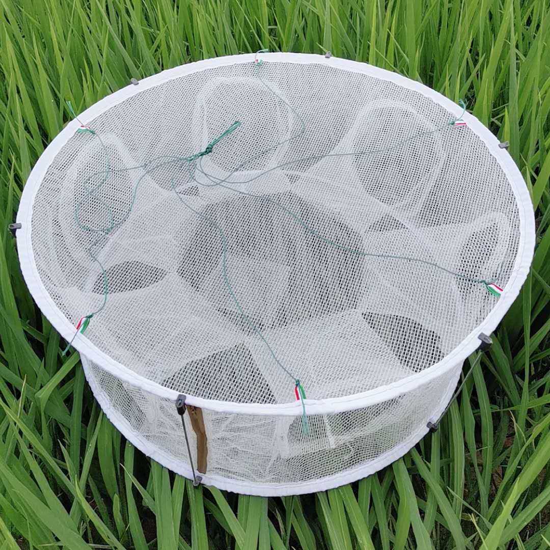 White Round Folding Fish Cage Shrimp Cage Shrimp Nets Summer Lobster Nets Crab Cage Fishing Nets Fish Nets Catch fishing deities