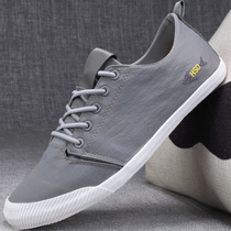 Summer mens shoes mens breathable Mens shoes 2021 new canvas trendy shoes wild mens casual spring cloth shoes