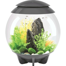 biorb au style round eco-building 30L fish tank home office creative aquarium living room bookroom building view