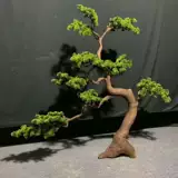 Личная настройка симуляция красота песня yingke фарфоровое псевдо большое сосне