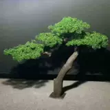 Личная настройка симуляция красота песня yingke фарфоровое псевдо большое сосне