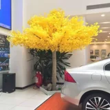 Моделирование гинкго моделирование деревьев