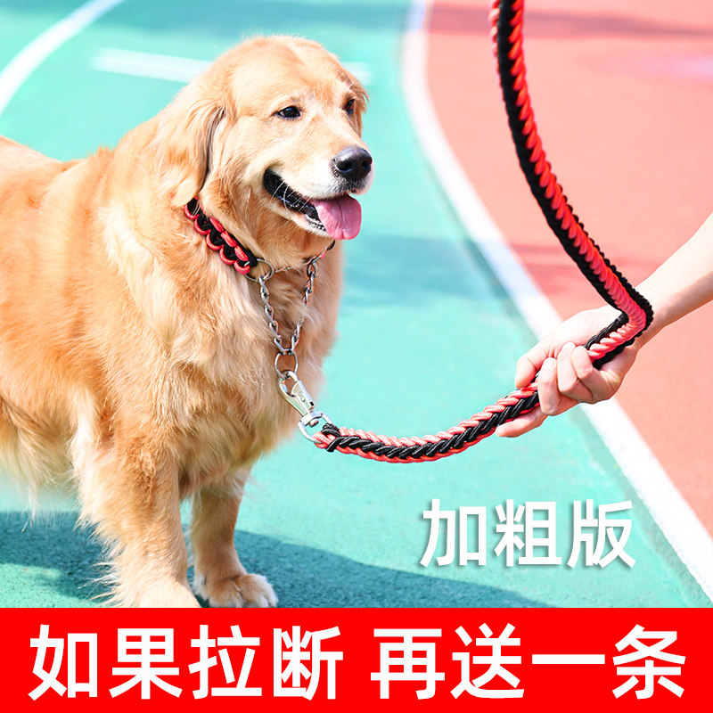 Walk Dog Dog Traction Rope Automatic Conditioning P Chain Neckline Dog Neckline Dog Rope Medium Large Dog Ginollabrador