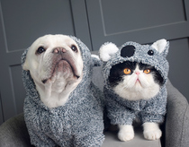Any two pets Autumn winter plus suede thickened clothes Cat Dogs Warm Coats Changing Body Beauté Teddy etc.