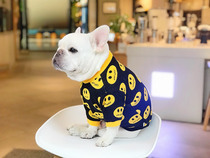 Fardou Sweater Pet Clothes Dogs Winter Dress Baco Tide Card Dinosaur Coat Teddy West Highlands Bibear Snownery