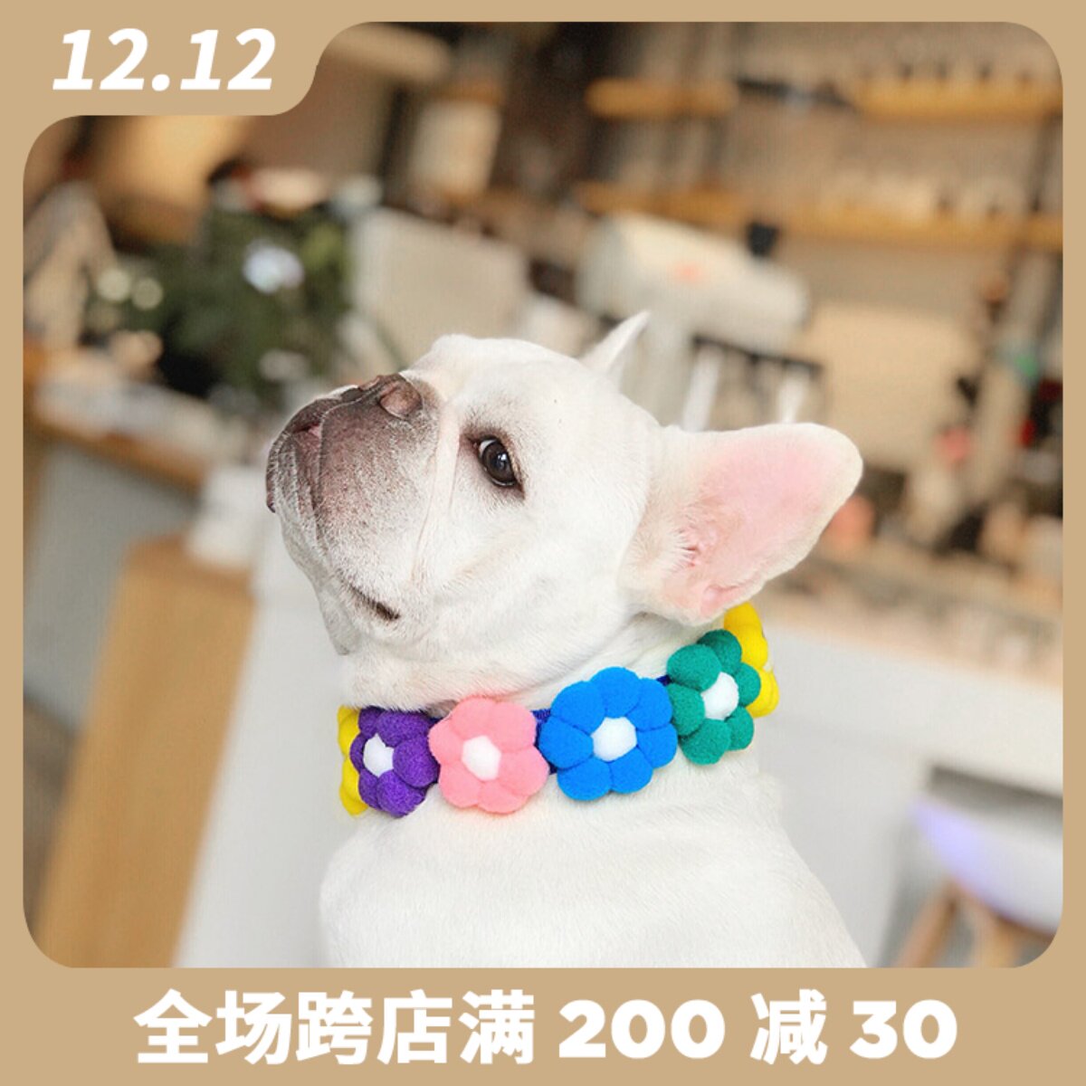 Any two pieces of pet cat and dog neck wreath flower collar collar neck jewelry net red rainbow collar
