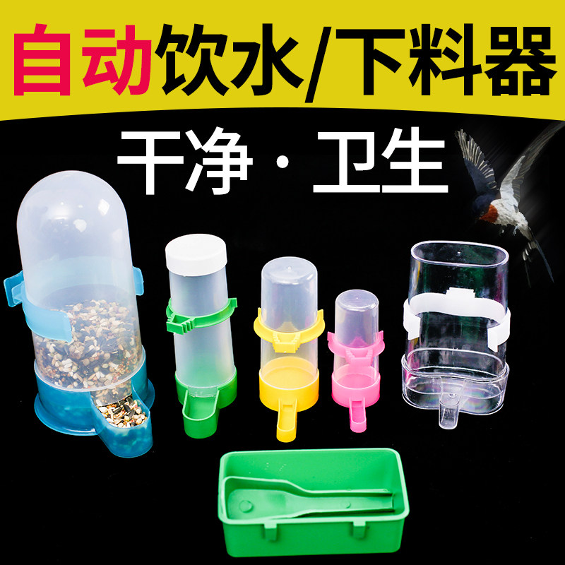 Bird with water dispenser Automatic feeding machine Drinking Water Machine Painting Brow-Cockatoo Parrot Food Box Feeding Birds Cage Accessories Supplies