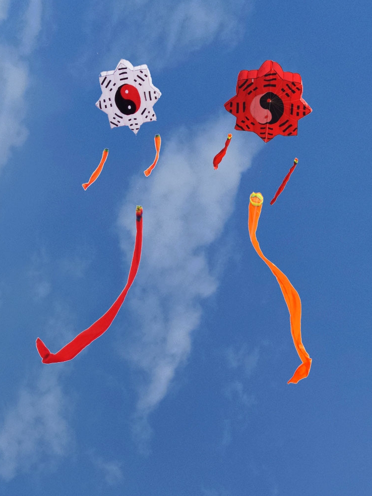 Weifang kite New cool Xiang software Bagua kite Large adult high-grade kite Bagua software kite how to fly