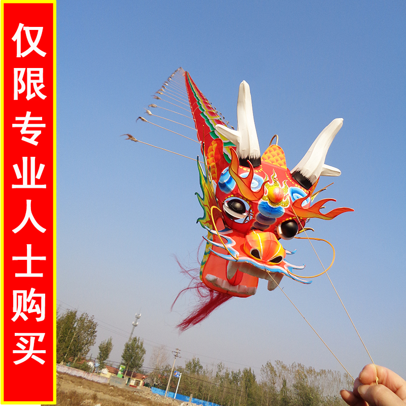 Weifang large adult dragon centipede kite 3d three-dimensional hand-painted handmade long string dragon kite custom made