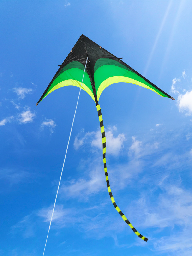 Weifang kite cool Xiang 2019 new prairie kite large adult high-grade breeze easy-to-fly long tail kite