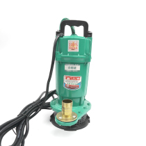 370W750W Domestic submersible pump water pump small well water agricultural water pump 1 inch 220V copper motor water pump