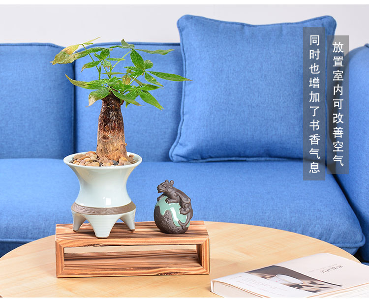 Combination of new Chinese style more creative ceramic flower pot meat asparagus rich tree green plant pot contracted bracketplant wholesale flower pot