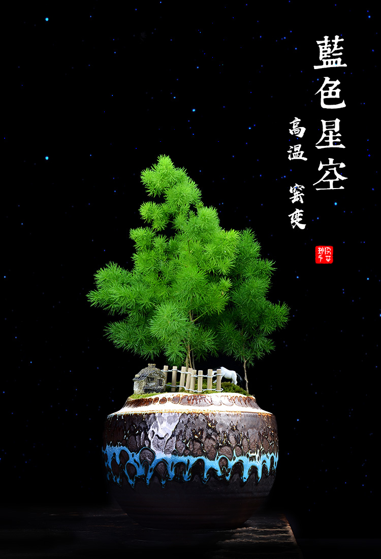 Variable temmoku creative flowerpot ceramic green plant large fortune bonsai tree asparagus fleshy flowerpot bonsai pot restoring ancient ways