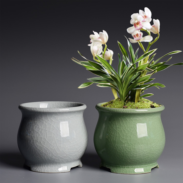 Special butterfly orchid flower POTS brother ceramic up household creative wind green plant bracketplant orchid basin in China plant bonsai POTS