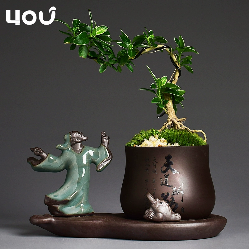 Trung Hoa phong cách tím chậu hoa kết hợp sáng tạo bonsai bonsai chậu phòng khách máy tính để bàn Zen nhỏ nhà sư trang trí - Trang trí nội thất