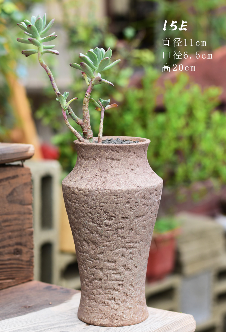 Meaty plant pot large ceramic clearance coarse pottery breathable creative POTS household retro mage old running the basin