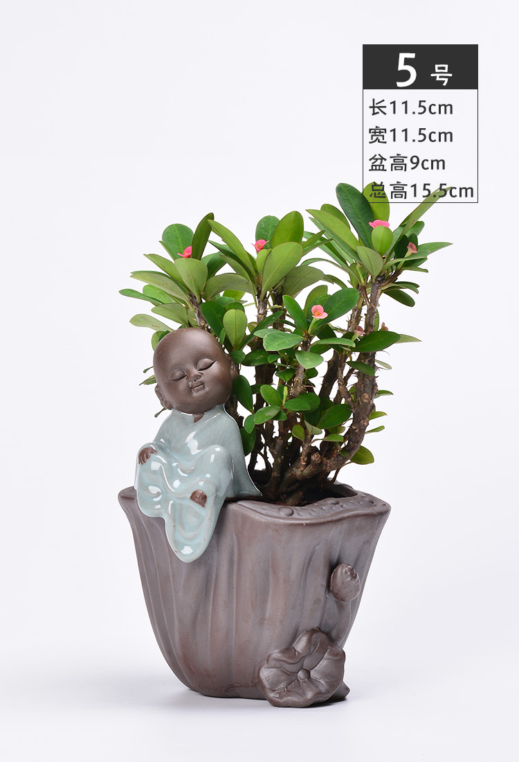 Fleshy flower pot small zen monk creative purple ceramic flower implement copper money plant grass flesh hydroponic plant containers