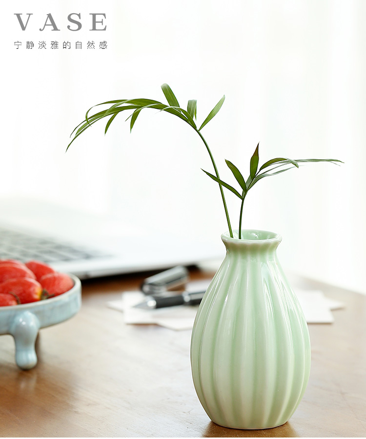 Hydroponic flower bottles of fresh water to raise money plant bottle ceramic household adornment furnishing articles flower implement flower arranging flowers inserted vessels