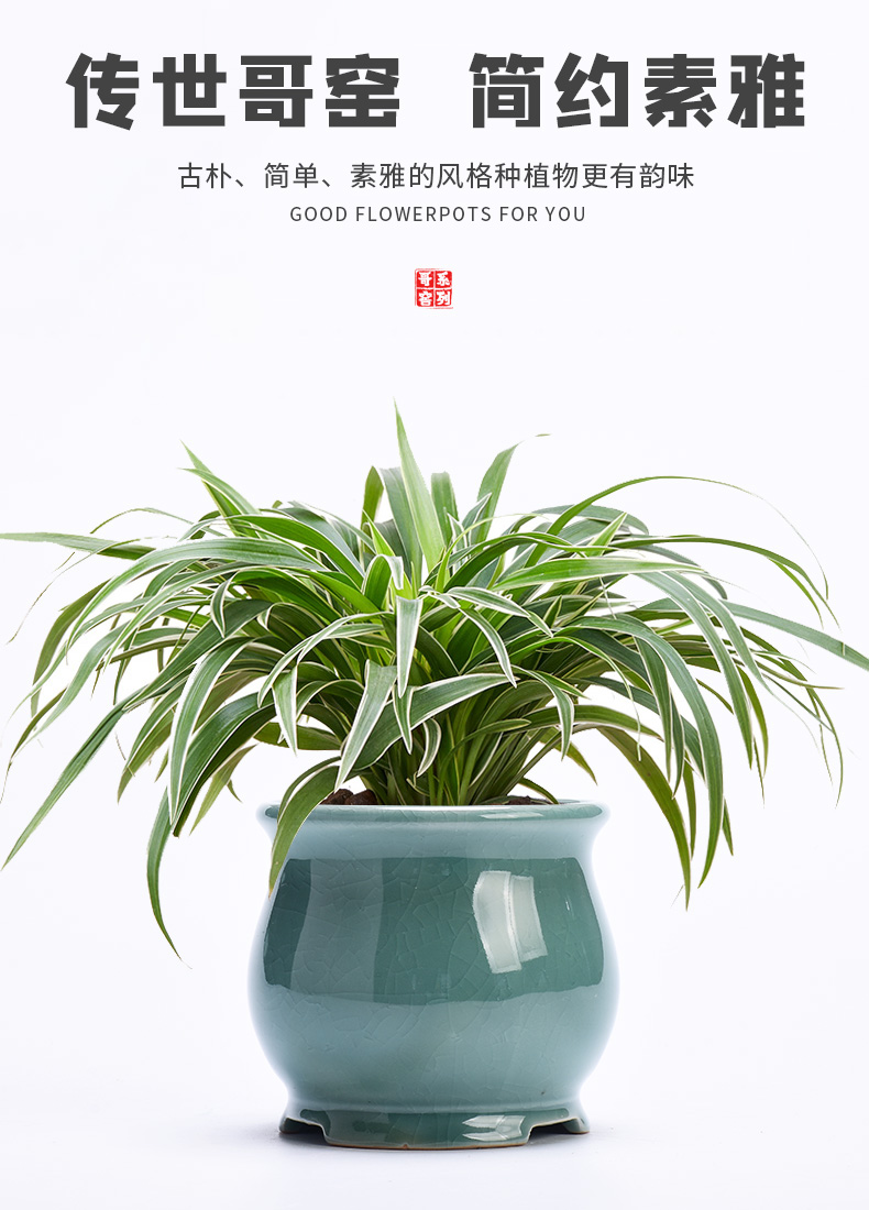 Bracketplant flowerpot brother ceramic up household green plant special other meaty plant butterfly orchid orchid pot creative basin
