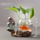 Thủy canh Thủy tinh trong suốt Bình nhỏ Thủy canh Màu xanh lá cây Scindapsus Nhà máy Bình hoa Bình cắm hoa Trang trí Trang trí sáng tạo - Vase / Bồn hoa & Kệ
