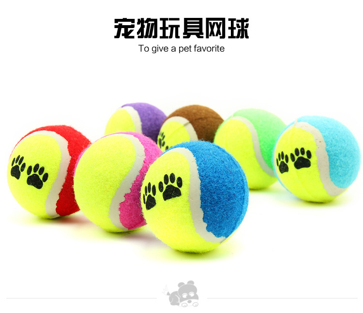 Chó đồ chơi bóng cắn lông vàng Teddy Samoyed mol mol đồ chơi con chó con đồ chơi tennis đồ dùng cho mèo