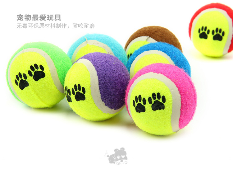 Chó đồ chơi bóng cắn lông vàng Teddy Samoyed mol mol đồ chơi con chó con đồ chơi tennis đồ dùng cho mèo