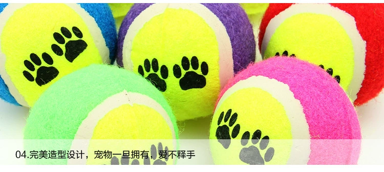 Chó đồ chơi bóng cắn lông vàng Teddy Samoyed mol mol đồ chơi con chó con đồ chơi tennis