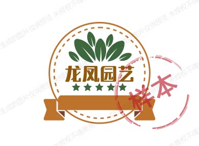 时尚花盆店