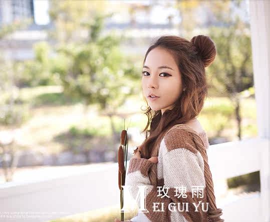 Extension cheveux - Chignon - Ref 236905 Image 10