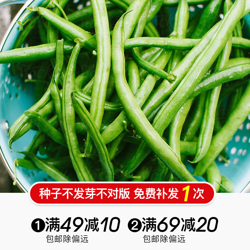 Hongyue vegetable seed Cucumber Gourd Winter melon Pumpkin Cowpea Dutch bean Bitter melon Balcony melon Bean vegetable