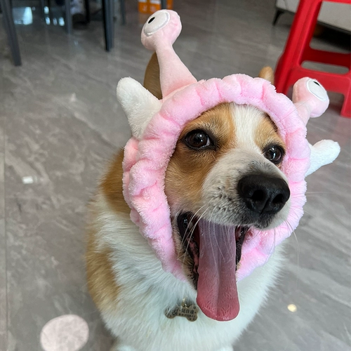 Милый аксессуар для волос, шапка, улитки, шлем, домашний питомец