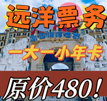 Kunming Ocean World Stone Forest Kunming Snow World Kunming Stone Forest Ice and Snow World Ticket Annual Card